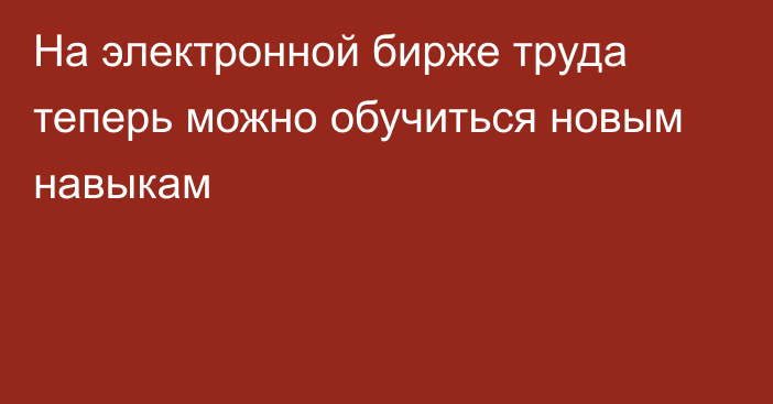 На электронной бирже труда теперь можно обучиться новым навыкам