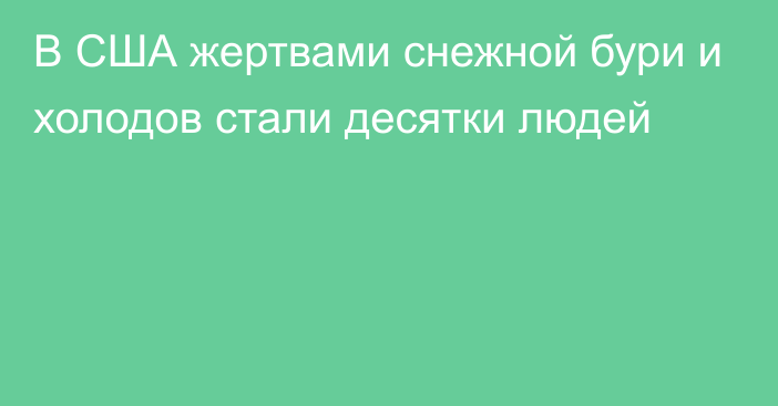 В США жертвами снежной бури и холодов стали десятки людей