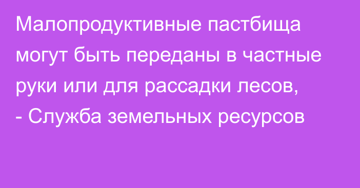 Малопродуктивные пастбища могут быть переданы в частные руки или для рассадки лесов, - Служба земельных ресурсов