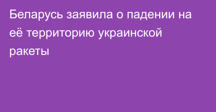 Беларусь заявила о падении на её территорию украинской ракеты