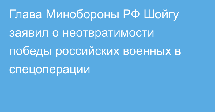 Глава Минобороны РФ Шойгу заявил о неотвратимости победы российских военных в спецоперации