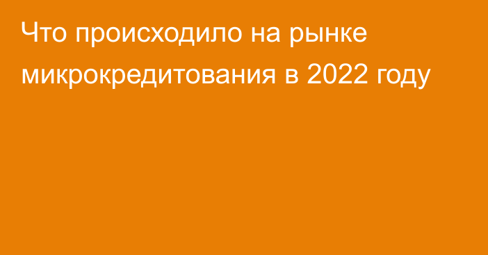 Что происходило на рынке микрокредитования в 2022 году