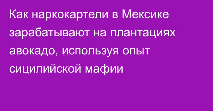 Как наркокартели в Мексике зарабатывают на плантациях авокадо, используя опыт сицилийской мафии