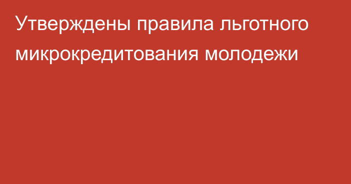 Утверждены правила льготного микрокредитования молодежи