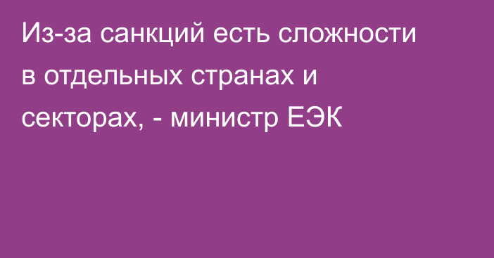 Из-за санкций есть сложности в отдельных странах и секторах, - министр ЕЭК