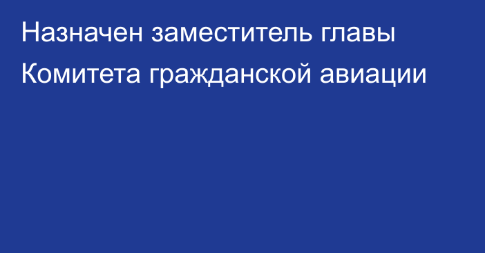 Назначен заместитель главы Комитета гражданской авиации