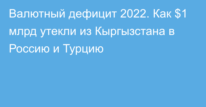 Валютный дефицит 2022. Как $1 млрд утекли из Кыргызстана в Россию и Турцию