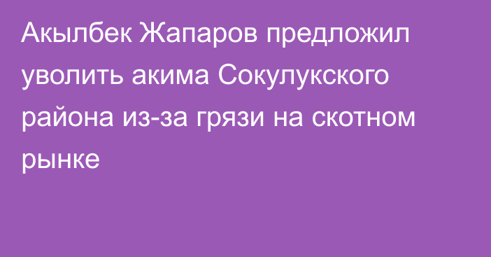 Акылбек Жапаров предложил уволить акима Сокулукского района из-за грязи на скотном рынке