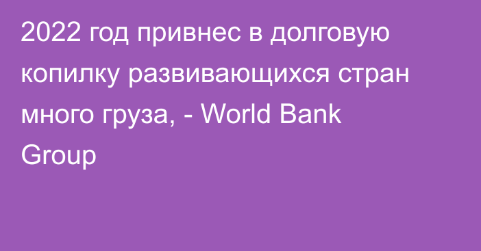 2022 год привнес в долговую копилку развивающихся стран много груза, - World Bank Group