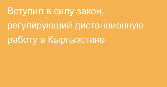 Вступил в силу закон, регулирующий дистанционную работу в Кыргызстане