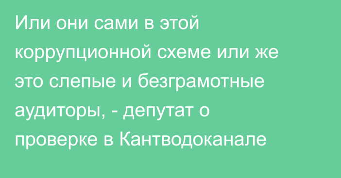 Или они сами в этой коррупционной схеме или же это слепые и безграмотные аудиторы, -  депутат о проверке в Кантводоканале