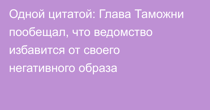 Одной цитатой: Глава Таможни пообещал, что ведомство избавится от своего негативного образа