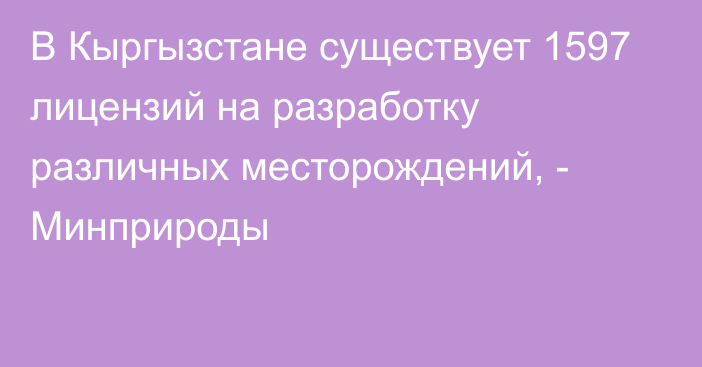 В Кыргызстане существует 1597 лицензий на разработку различных месторождений, - Минприроды