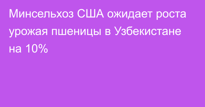 Минсельхоз США ожидает роста урожая пшеницы в Узбекистане на 10%