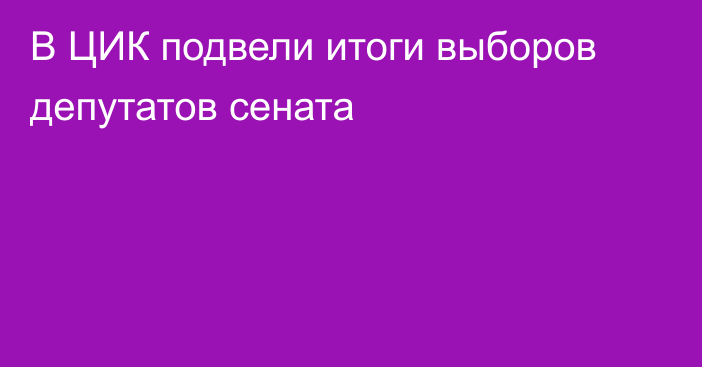 В ЦИК подвели итоги выборов депутатов сената