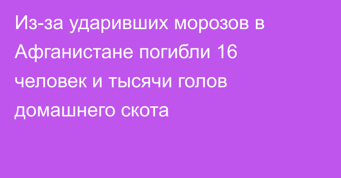 Из-за ударивших морозов в Афганистане погибли 16 человек и тысячи голов домашнего скота