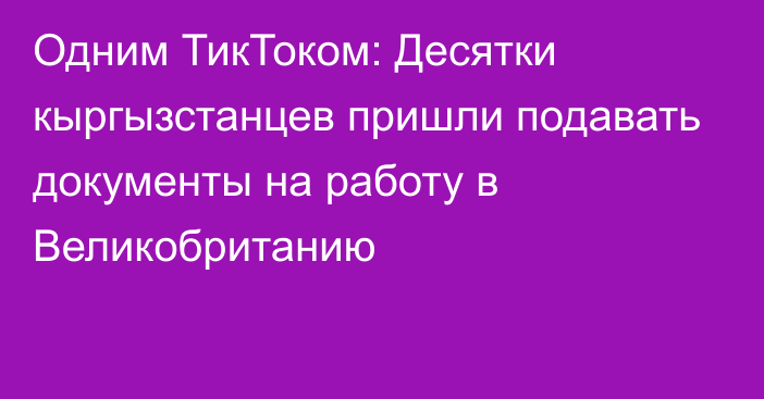 Одним ТикТоком: Десятки кыргызстанцев пришли подавать документы на работу в Великобританию