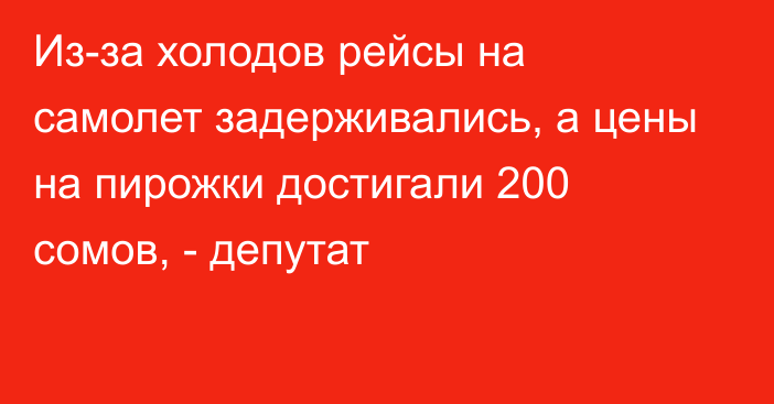 Из-за холодов рейсы на самолет задерживались, а цены на пирожки достигали 200 сомов, - депутат