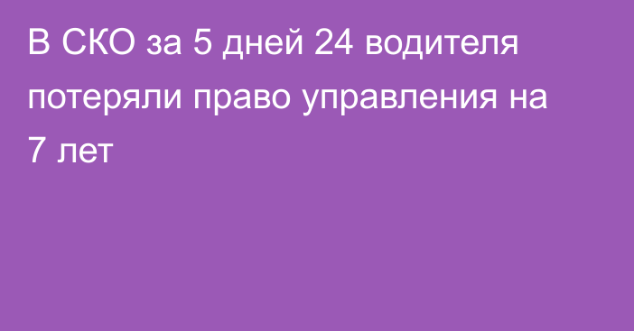 В СКО за 5 дней 24 водителя потеряли право управления на 7 лет