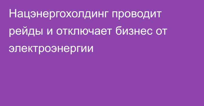 Нацэнергохолдинг проводит рейды и отключает бизнес от электроэнергии