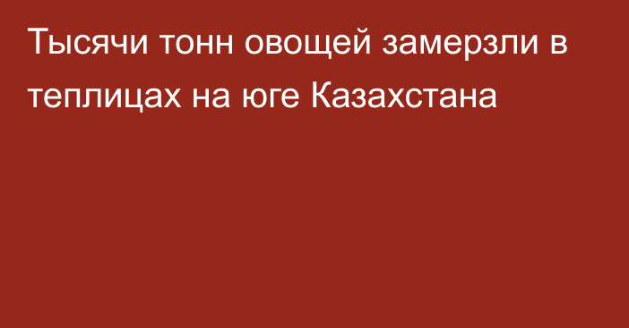 Тысячи тонн овощей замерзли в теплицах на юге Казахстана