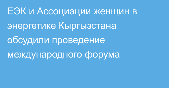 ЕЭК и Ассоциации женщин в энергетике Кыргызстана обсудили проведение международного форума