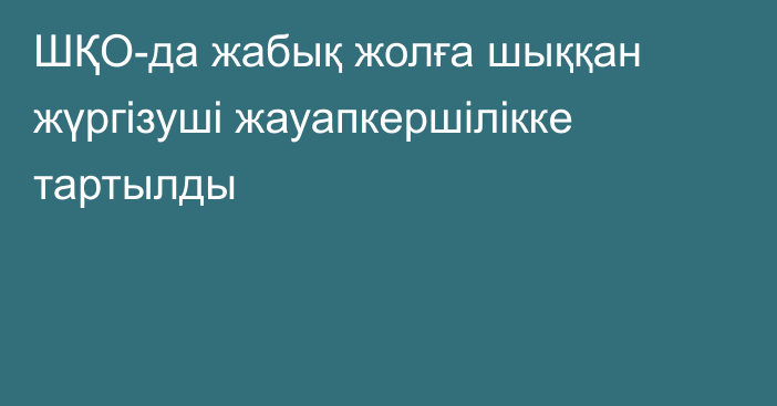 ШҚО-да жабық жолға шыққан жүргізуші жауапкершілікке тартылды