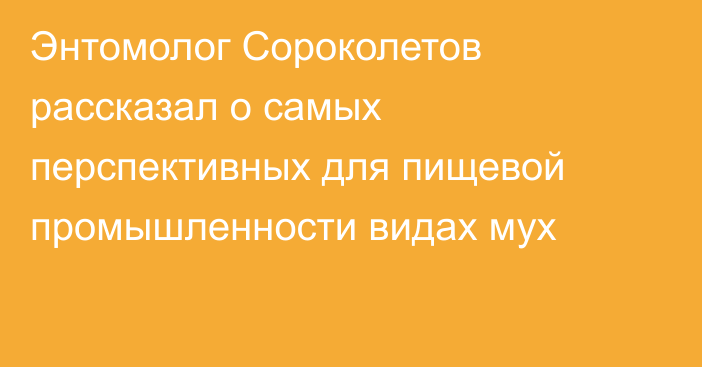 Энтомолог Сороколетов рассказал о самых перспективных для пищевой промышленности видах мух