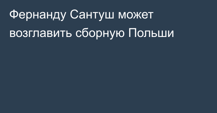 Фернанду Сантуш может возглавить сборную Польши