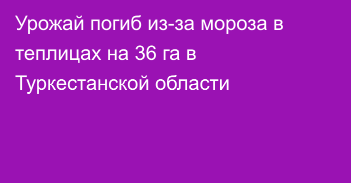 Урожай погиб из-за мороза в теплицах на 36 га в Туркестанской области