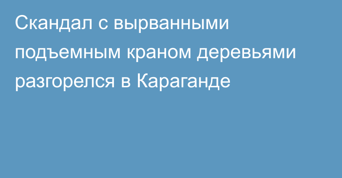 Скандал с вырванными подъемным краном деревьями разгорелся в Караганде