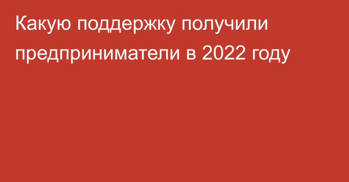 Какую поддержку получили предприниматели в 2022 году