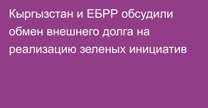 Кыргызстан и ЕБРР обсудили обмен внешнего долга на реализацию зеленых инициатив