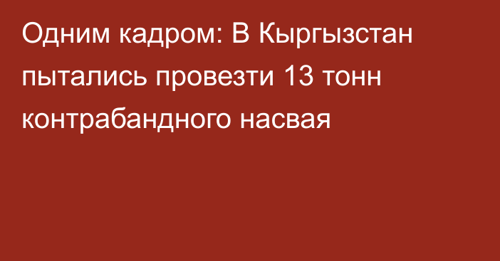 Одним кадром: В Кыргызстан пытались провезти 13 тонн контрабандного насвая