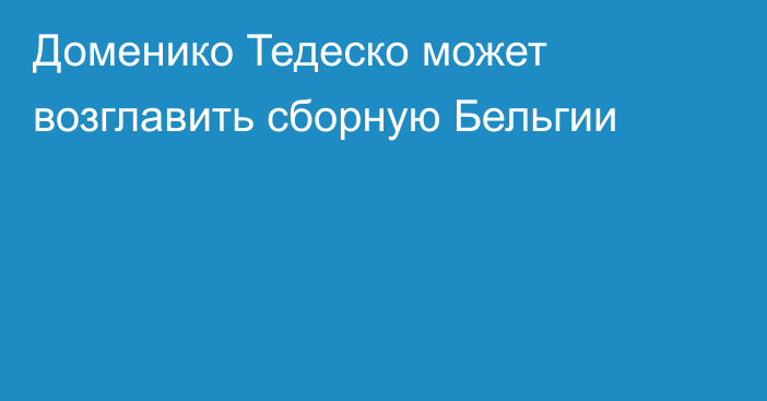 Доменико Тедеско может возглавить сборную Бельгии