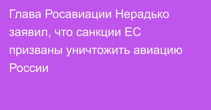 Глава Росавиации Нерадько заявил, что санкции ЕС призваны уничтожить авиацию России