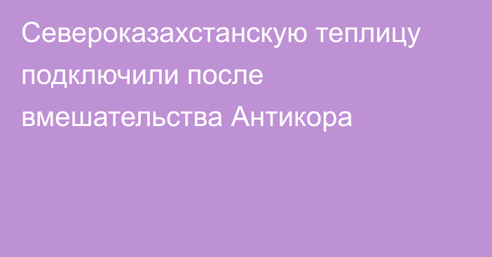 Североказахстанскую теплицу подключили после вмешательства Антикора