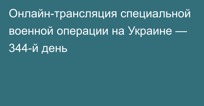 Онлайн-трансляция специальной военной операции на Украине — 344-й день