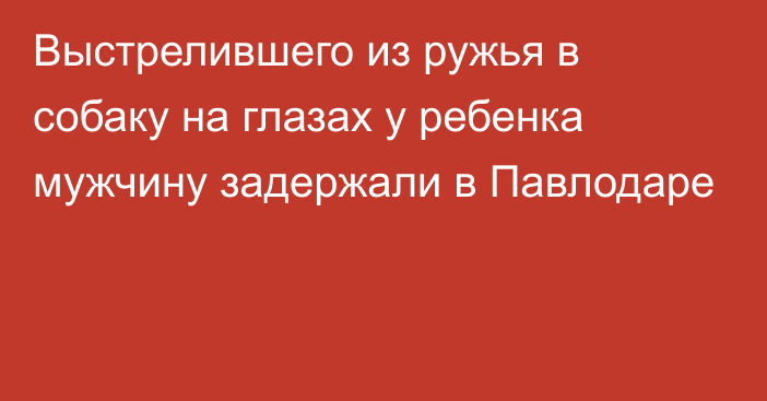 Выстрелившего из ружья в собаку на глазах у ребенка мужчину задержали в Павлодаре