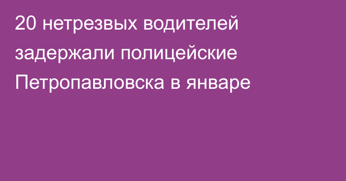 20 нетрезвых водителей задержали полицейские Петропавловска в январе