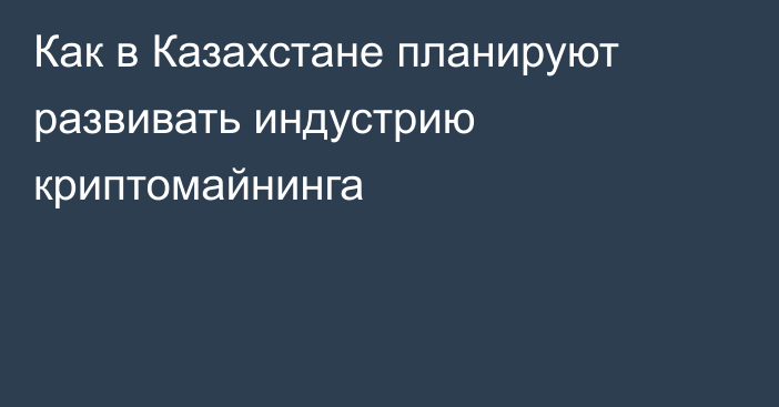 Как в Казахстане планируют развивать индустрию криптомайнинга