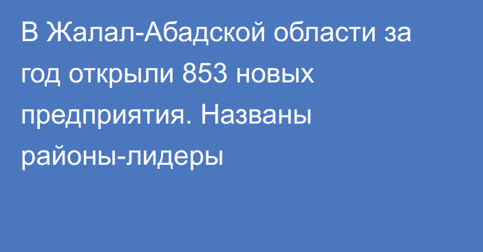 В Жалал-Абадской области за год открыли 853 новых предприятия. Названы районы-лидеры