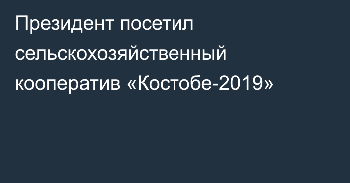 Президент посетил сельскохозяйственный кооператив «Костобе-2019»