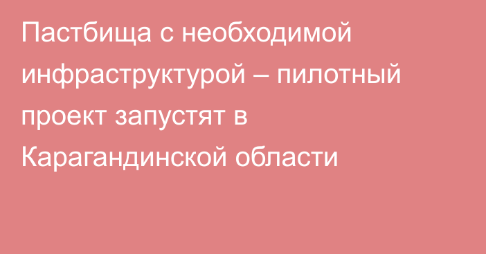 Пастбища с необходимой инфраструктурой – пилотный проект запустят в Карагандинской области