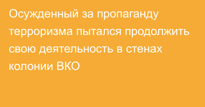 Осужденный за пропаганду терроризма пытался продолжить свою деятельность в стенах колонии ВКО