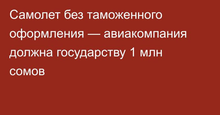 Самолет без таможенного оформления — авиакомпания должна государству 1 млн сомов