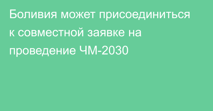 Боливия может присоединиться к совместной заявке на проведение ЧМ-2030