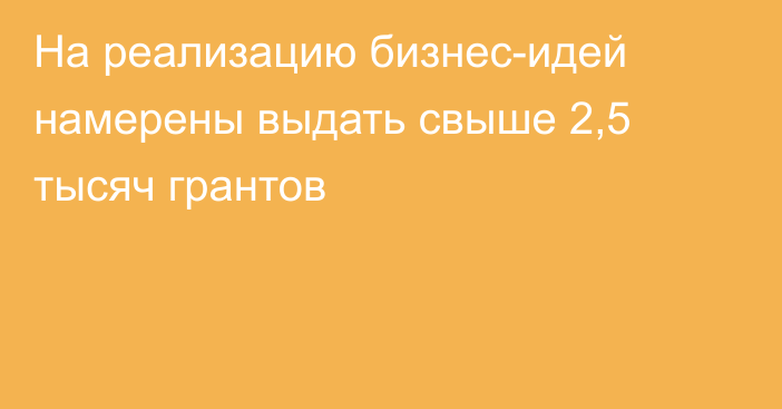 На реализацию бизнес-идей намерены выдать свыше 2,5 тысяч грантов