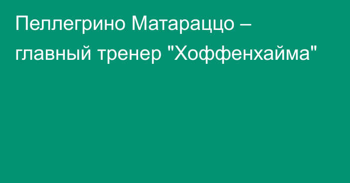 Пеллегрино Матараццо – главный тренер 