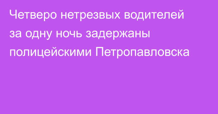 Четверо нетрезвых водителей за одну ночь задержаны полицейскими Петропавловска